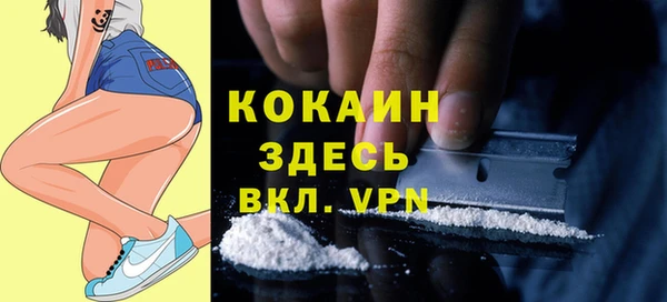 молекула духа Алексин