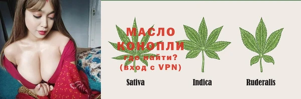 молекула духа Алексин