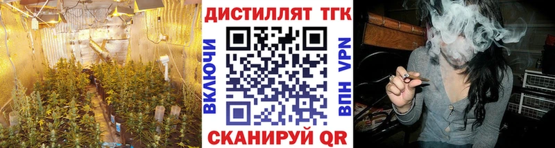 площадка клад  как найти   Богородск  Дистиллят ТГК концентрат 